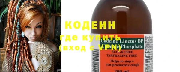 шишки Корсаков