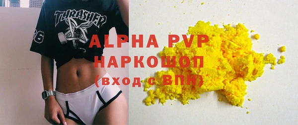 шишки Корсаков