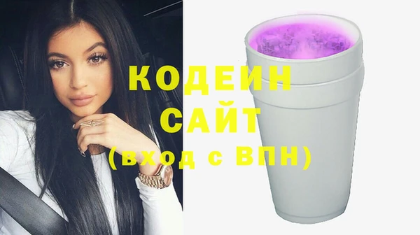 шишки Корсаков