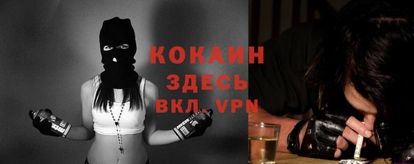 мдпв Козельск