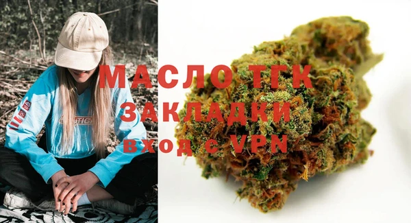 шишки Корсаков