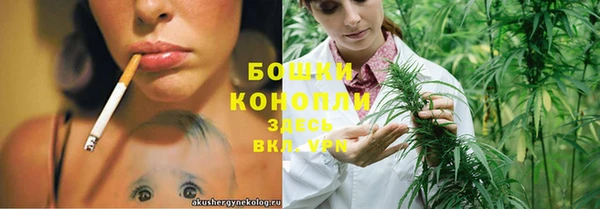 мдпв Козельск