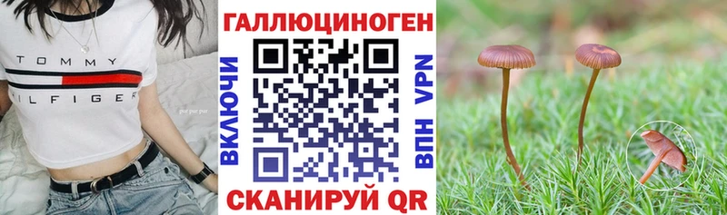 Галлюциногенные грибы Psilocybine cubensis  mega ТОР  Малгобек 