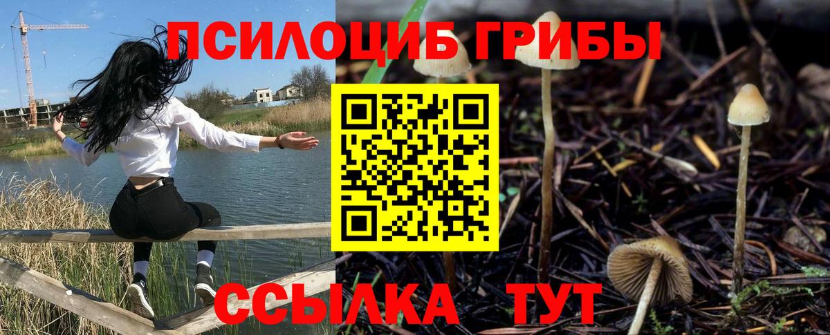 Галлюциногенные грибы прущие грибы Малгобек