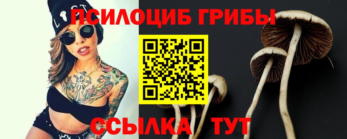 Псилоцибиновые грибы Psilocybe  где продают наркотики  Малгобек  Вход с VPN 