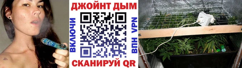 Конопля конопля  блэк спрут вход  Малгобек  наркота 